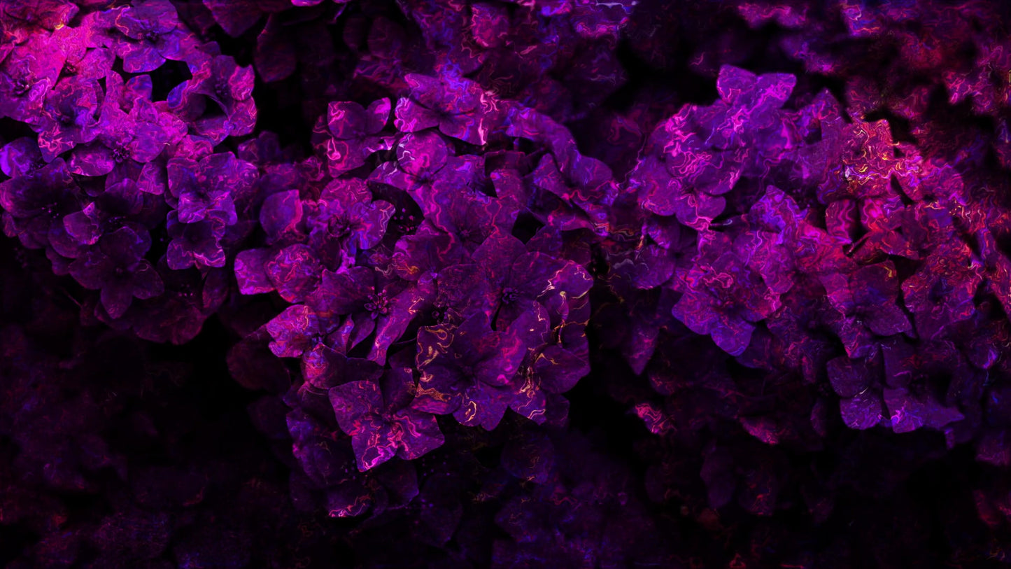 Floral Paint 05 Still