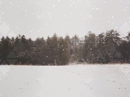 Winter Forest Frame Blank 3