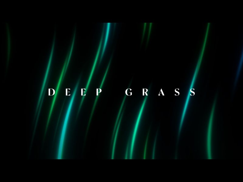 Deep Grass