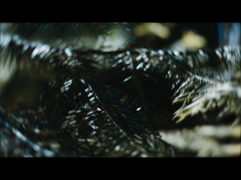 Radial Nature 10