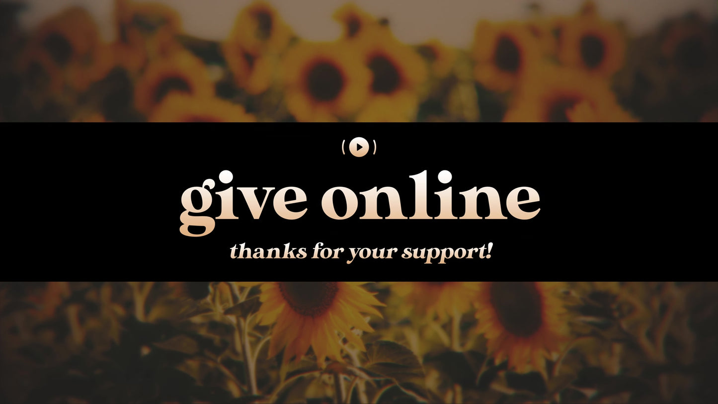 Vintage Sunflowers Give Stream Still