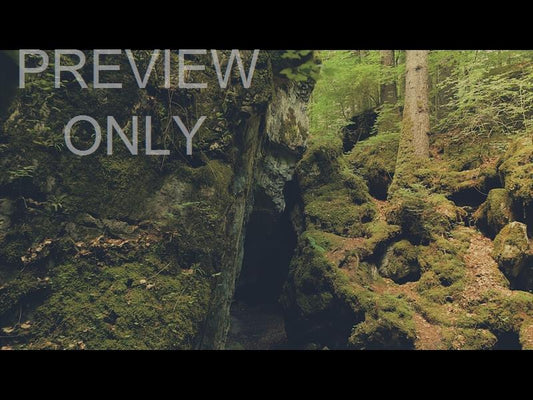 Deep Forest Mossy Boulders Still