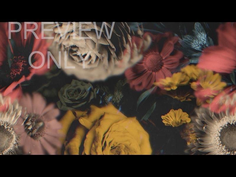 Deep Beauty Still 07