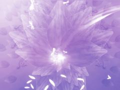 Organic Flowers 2
