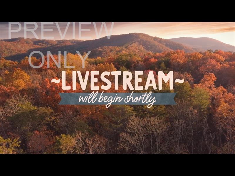 Epic Autumn Aerial Livestream