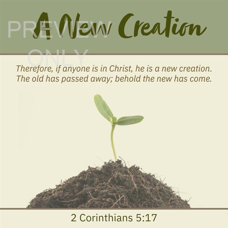 A New Creation
