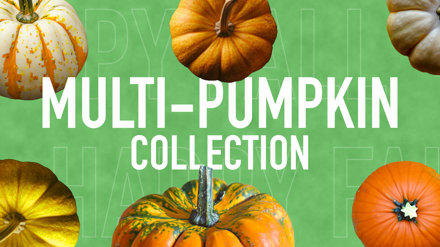 Multi Pumpkin Collection