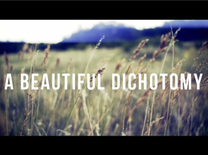 A Beautiful Dichotomy