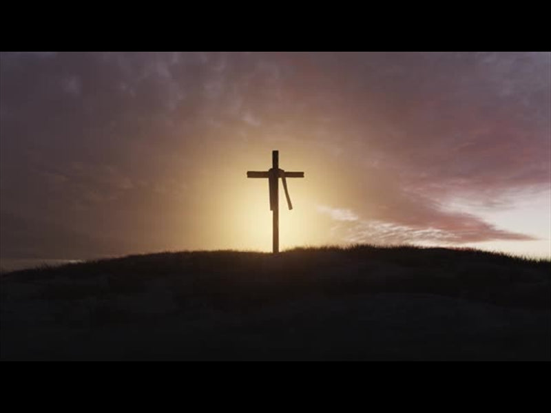 His Plan Is Perfect: Cross