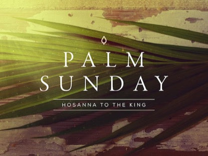 Portraits Of Passion: Palm Sunday