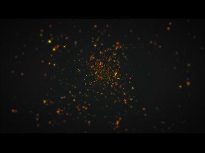 Pieces 2