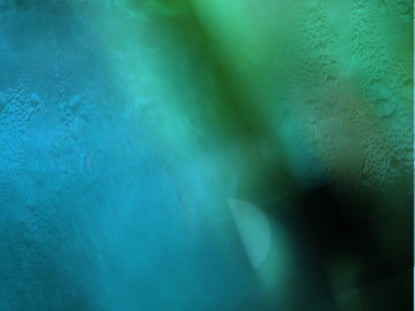 Teal Tapestry