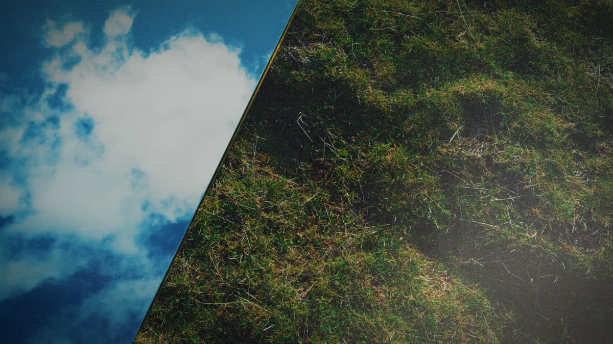 Heaven And Earth Still 02