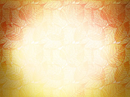 Gold Leaves Red Motion