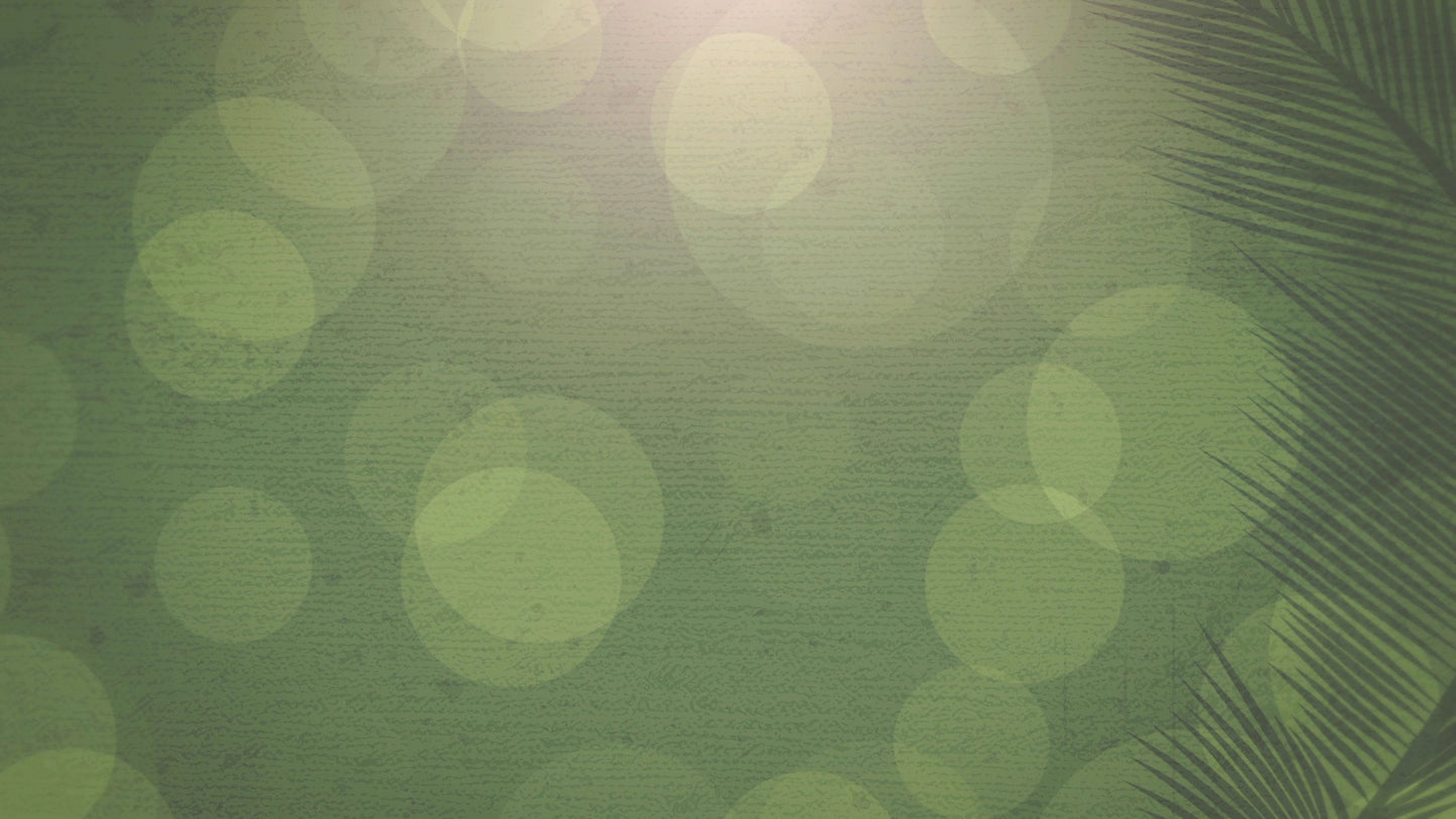 Palm Sunday Bokeh 03