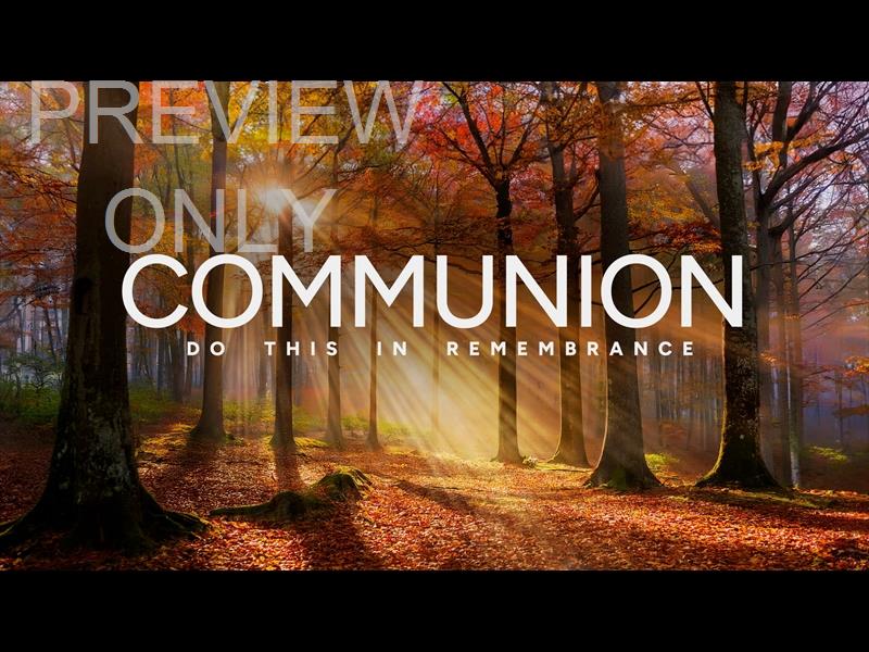 Autumn Light Communion Still