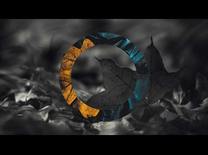 The Shape Of Fall 2