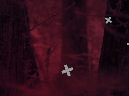 Red Forest