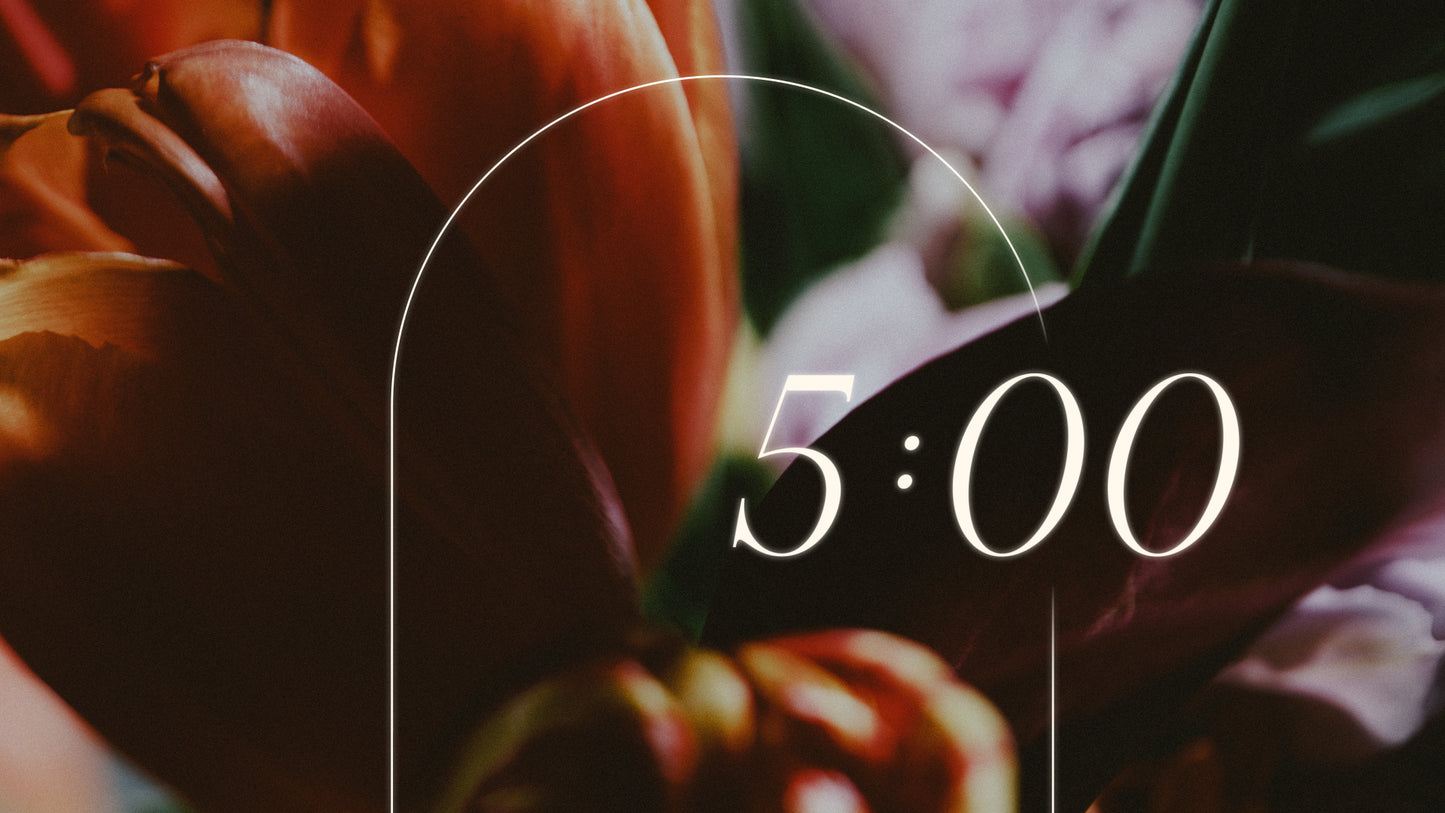 Beauty And Strength Countdown 02