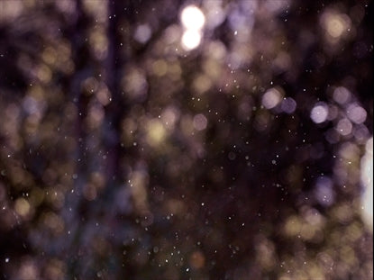 Winter Snow 14 Still