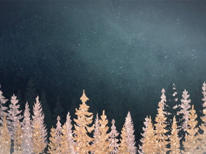 Christmas Sparkle 9