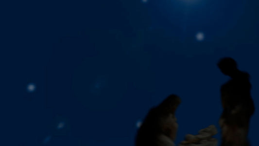 O Holy Night