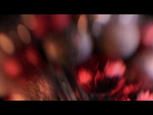Christmas Ornamental 4