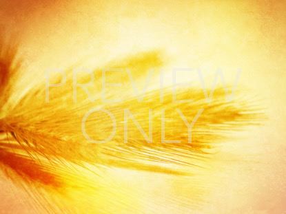 The Great Commission 6 Still