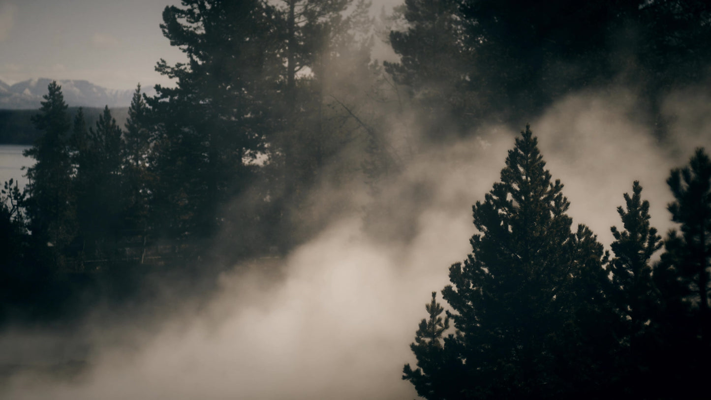 Misty Lent Vista Still