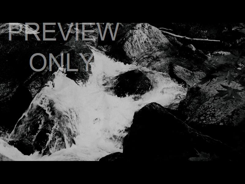 Black And White River 11 Still