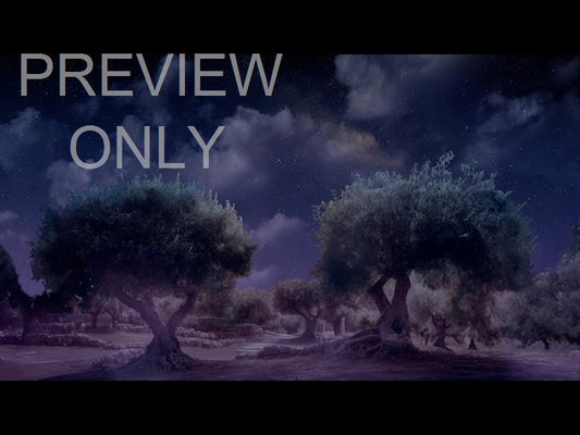 Easter Story Garden Of Gethsemane Still