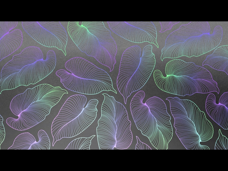 Tropical Night Loop 07