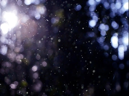 Winter Snow 4