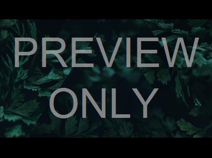 Deep Green Leaves Triangle