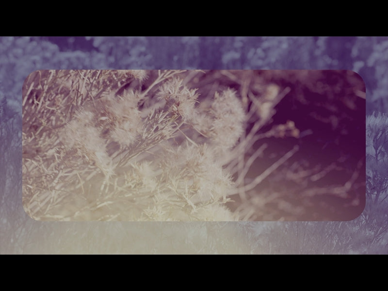 Sage Loop 02