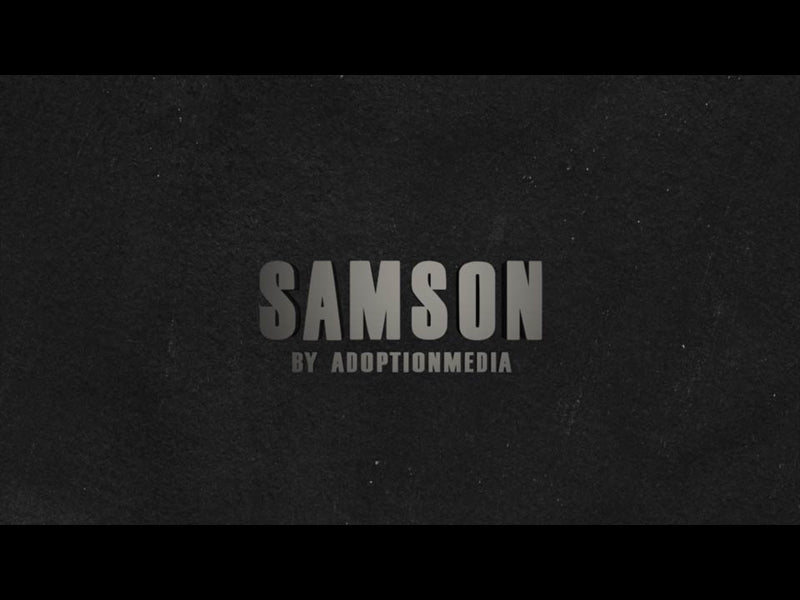 The Story Of Samson