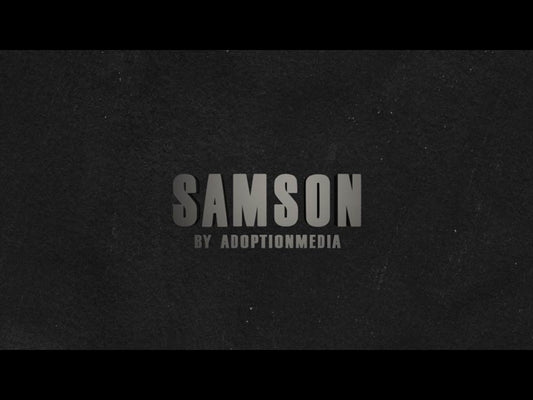 The Story Of Samson