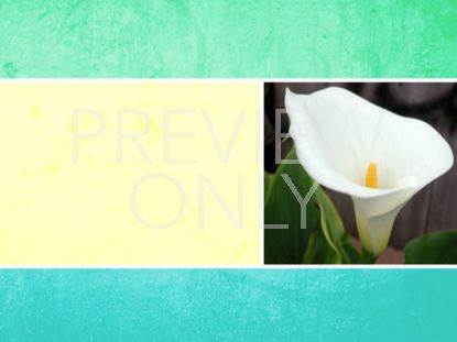 Easter Title Still 4