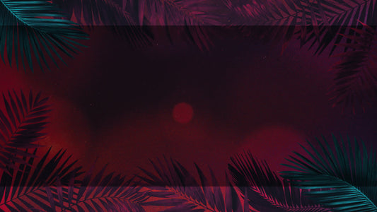 Vibrant Palms 4 Alt