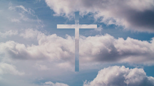 Spring Nature Still 19