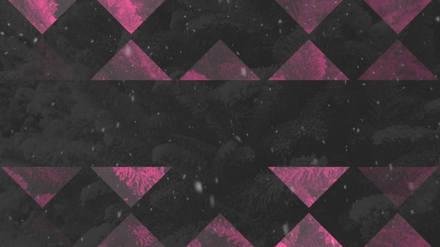 Modern Winter Trees 12
