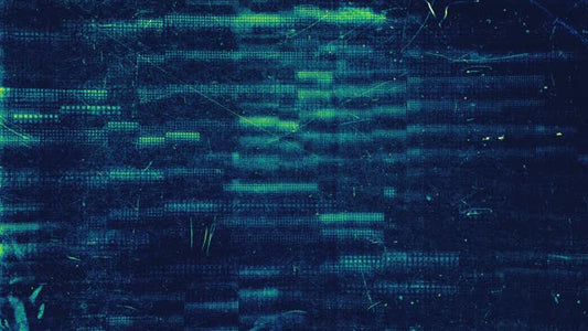 Digital Dust 10