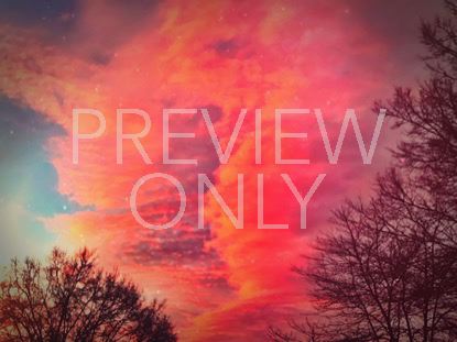Promise Sky