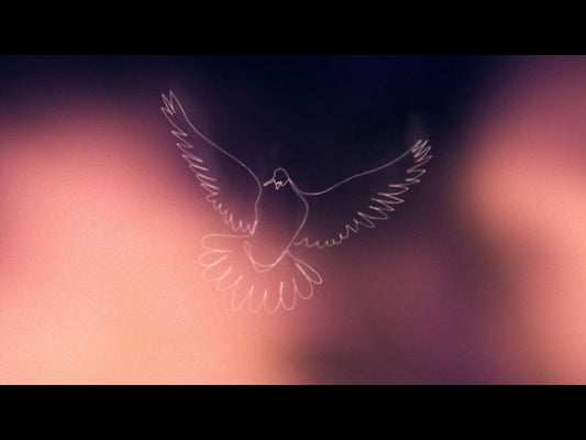 Soaring Loop 01
