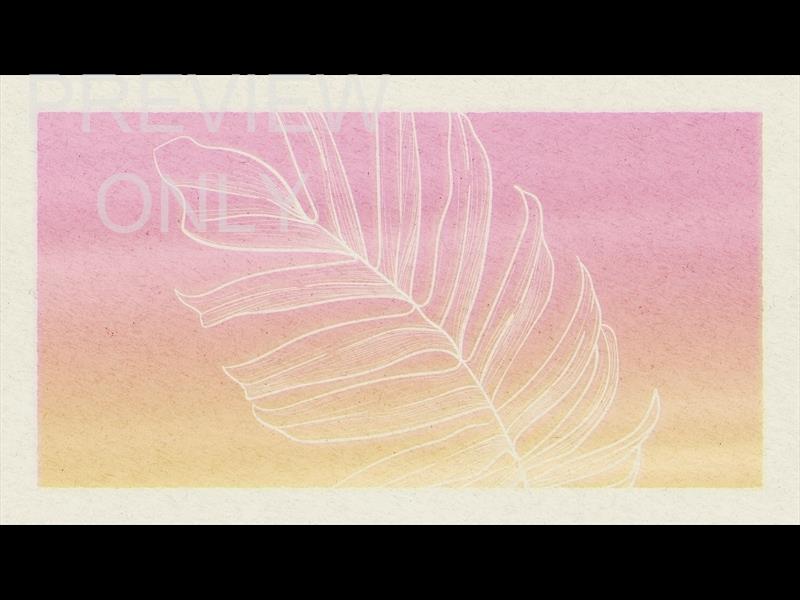 Paper Palm Still 02