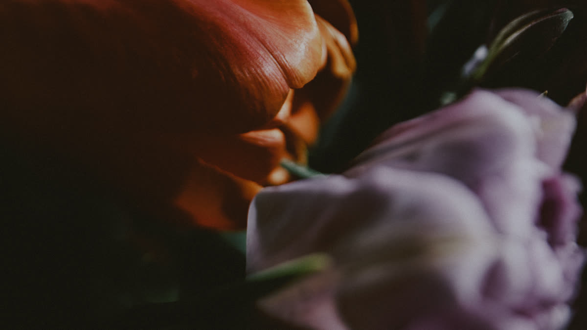 Beauty And Strength Still 01