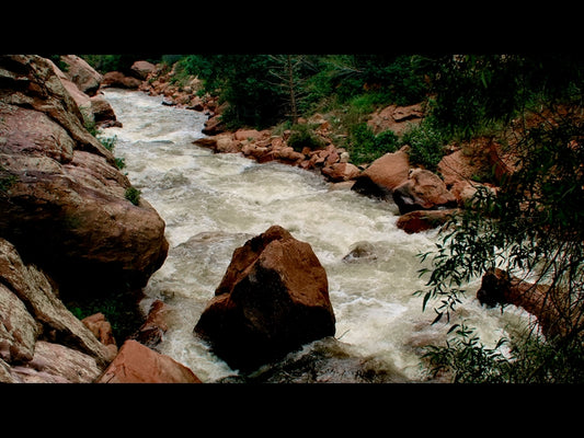 El Dorado Motion 3