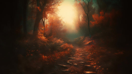 Autumn Path 8 Still