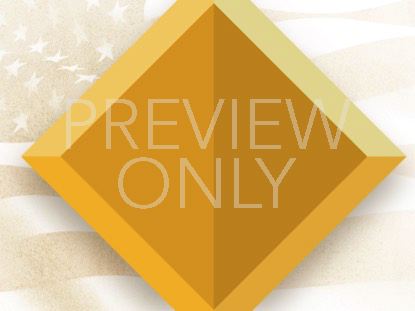 Memorial Badge Still 3