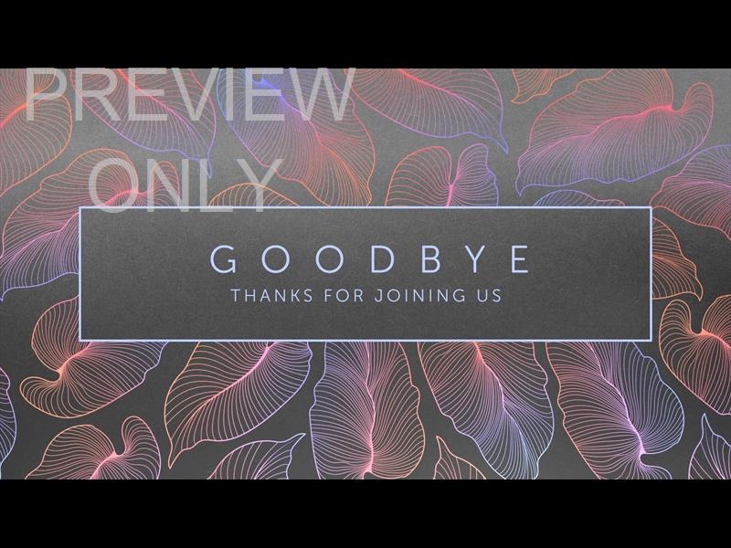 Tropical Night Goodbye Still